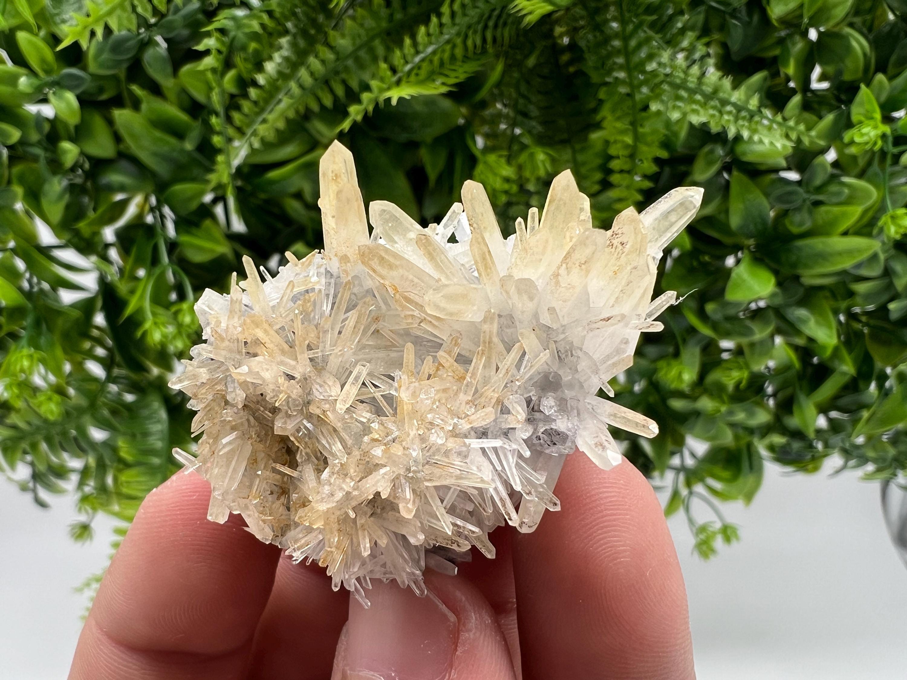 Stunning Quartz from 9 th September mine,Bulgaria,Quartz iron oxide limonite quartz,yellow Quartz,natural collection mineral specimen,home