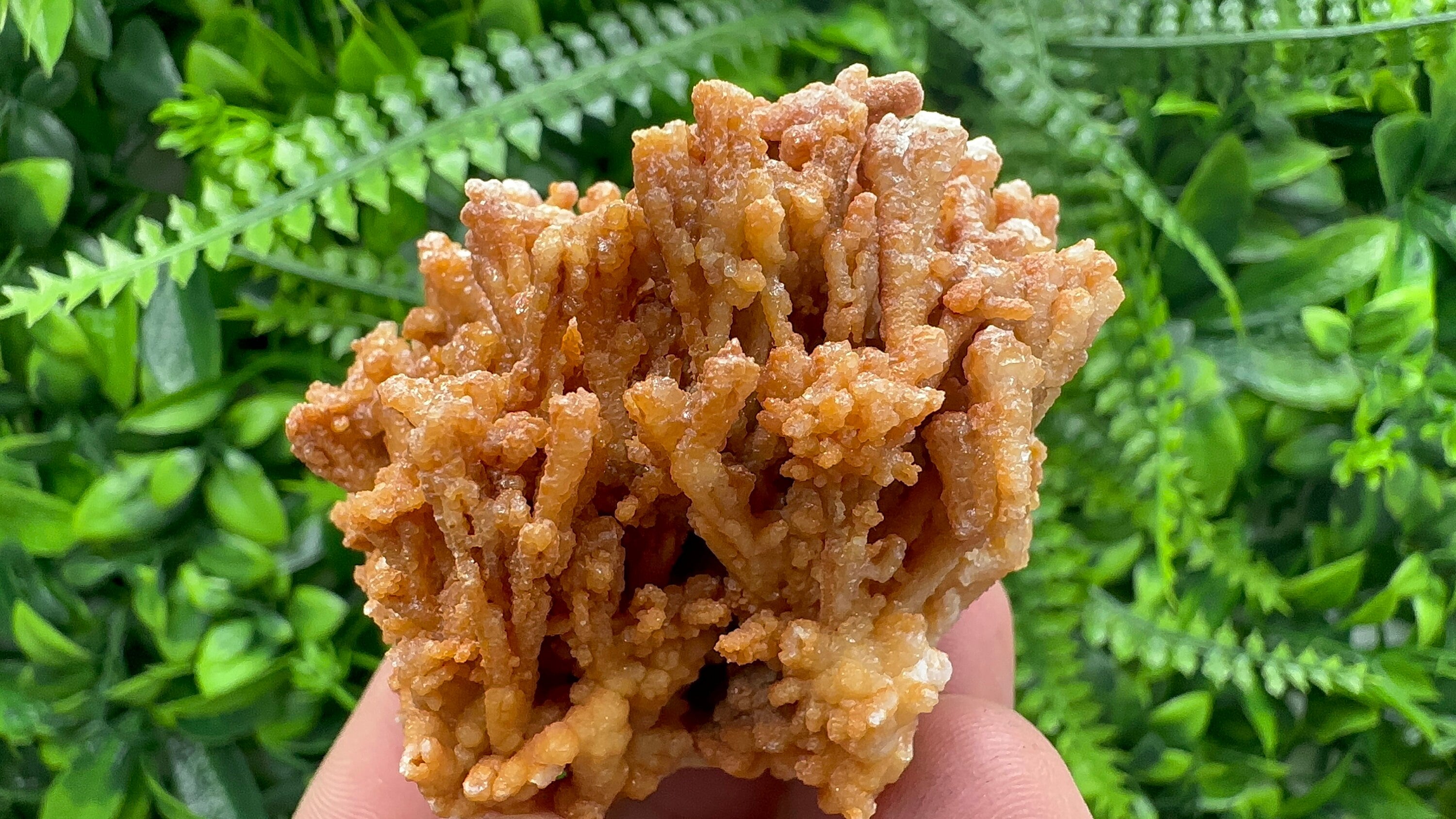 Dimitrovgrad Aragonite Cluster, Bulgaria Mineral Specimen