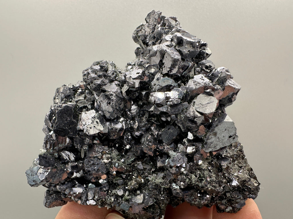 Shiny Galena on Sphalerite, Borieva Mine, Bulgaria