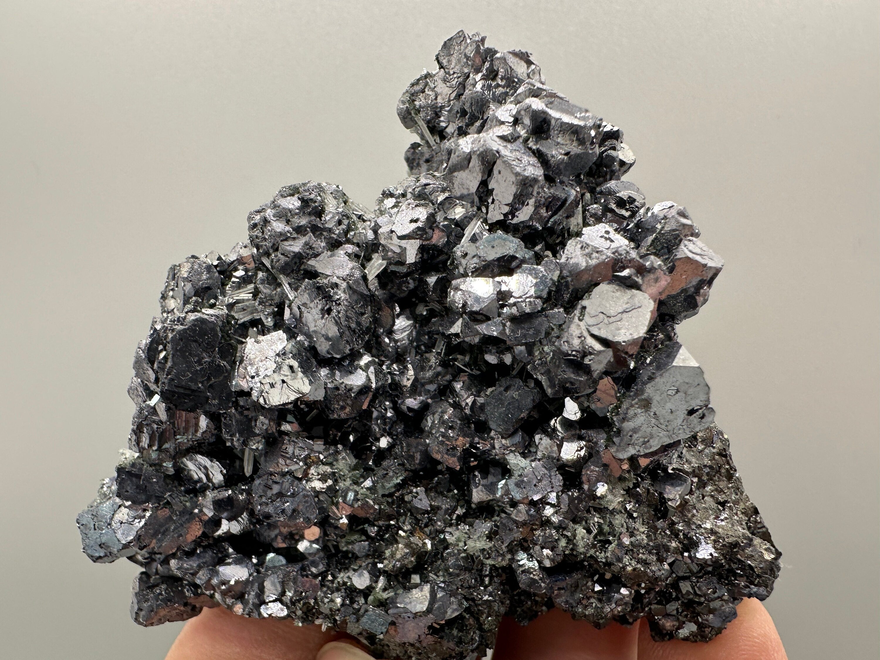 Shiny Galena on Sphalerite, Borieva Mine, Bulgaria