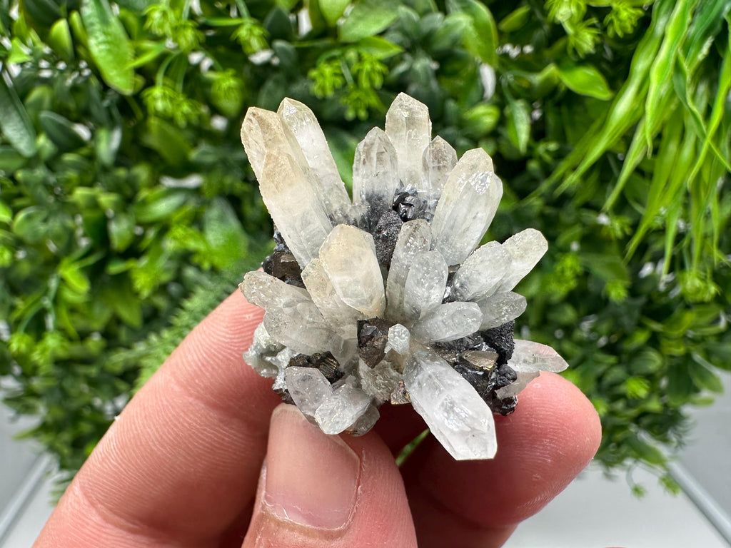 Wonderful Sphalerite Chalcopyrite on Green Quartz whit Hematite feom 9 th September mine,Bulgaria,natural,collection mineral specimen,gift