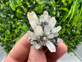 Wonderful Sphalerite Chalcopyrite on Green Quartz whit Hematite feom 9 th September mine,Bulgaria,natural,collection mineral specimen,gift
