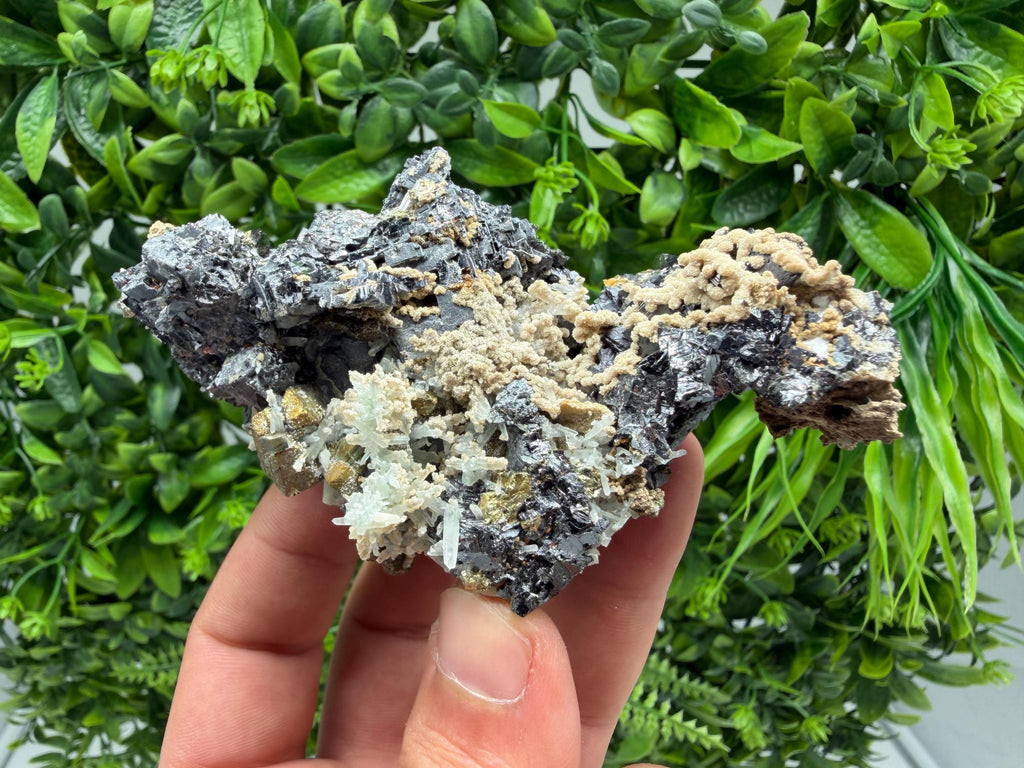 Wonderful Sphalerite Chalcopyrite on  Quartz whit Galena feom 9 th September mine,Bulgaria,natural,collection mineral specimen,gift