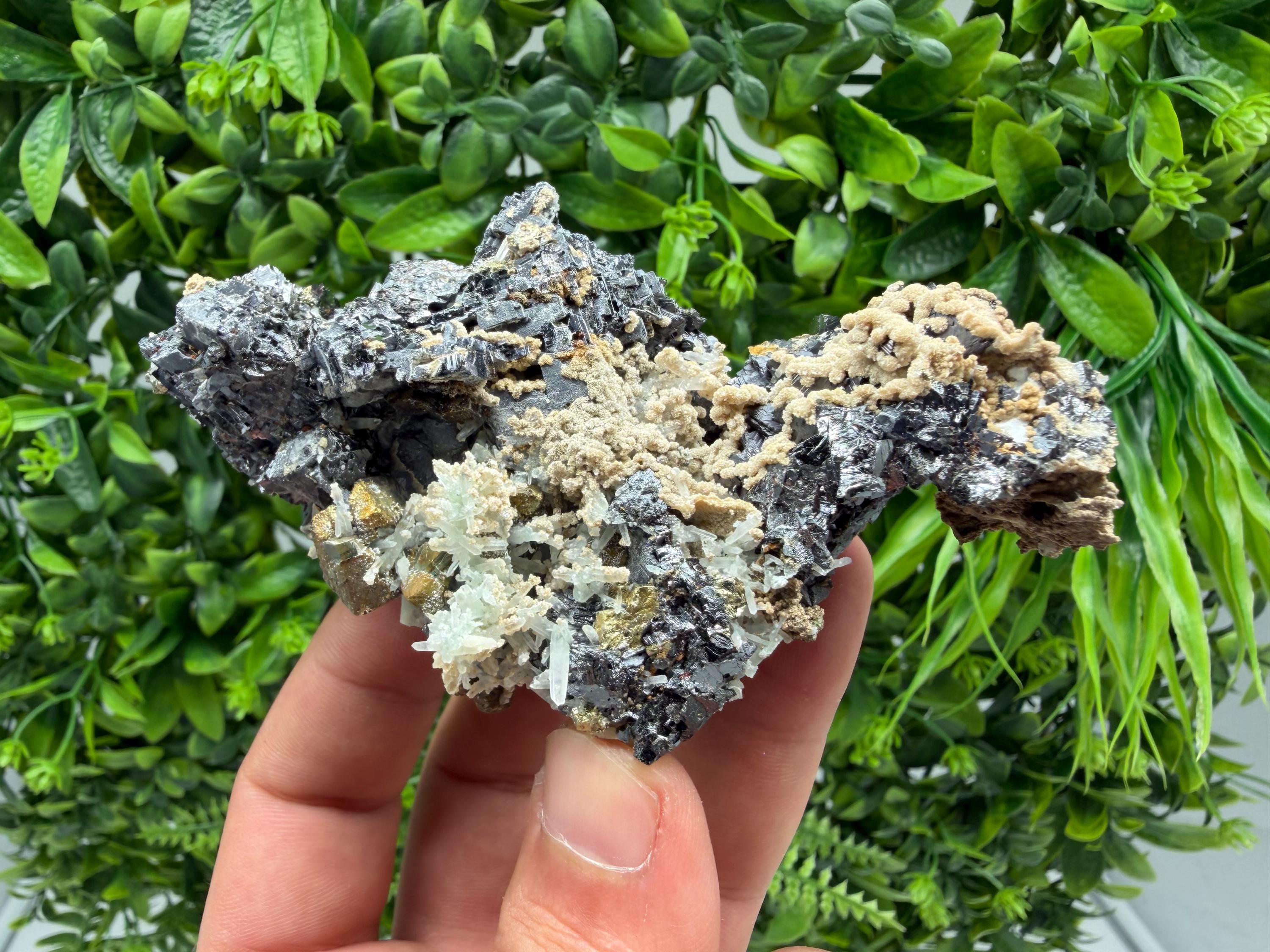 Wonderful Sphalerite Chalcopyrite on  Quartz whit Galena feom 9 th September mine,Bulgaria,natural,collection mineral specimen,gift