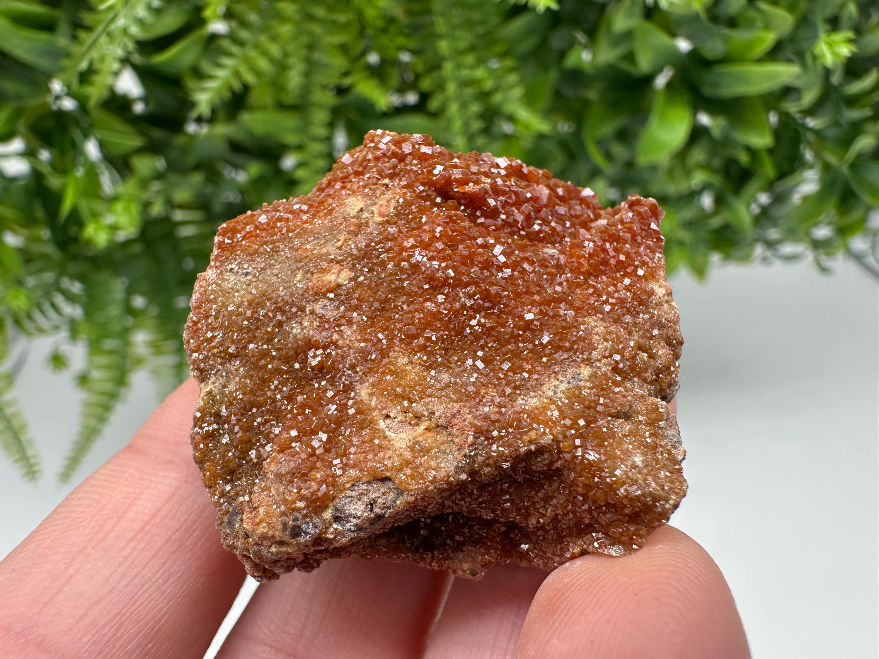 Red Vanadinite on Matrix from Marocco,crystal minerals Speciment cluster Vanadinite crystal Vanadinite Geology Vanadinite cluster minerals