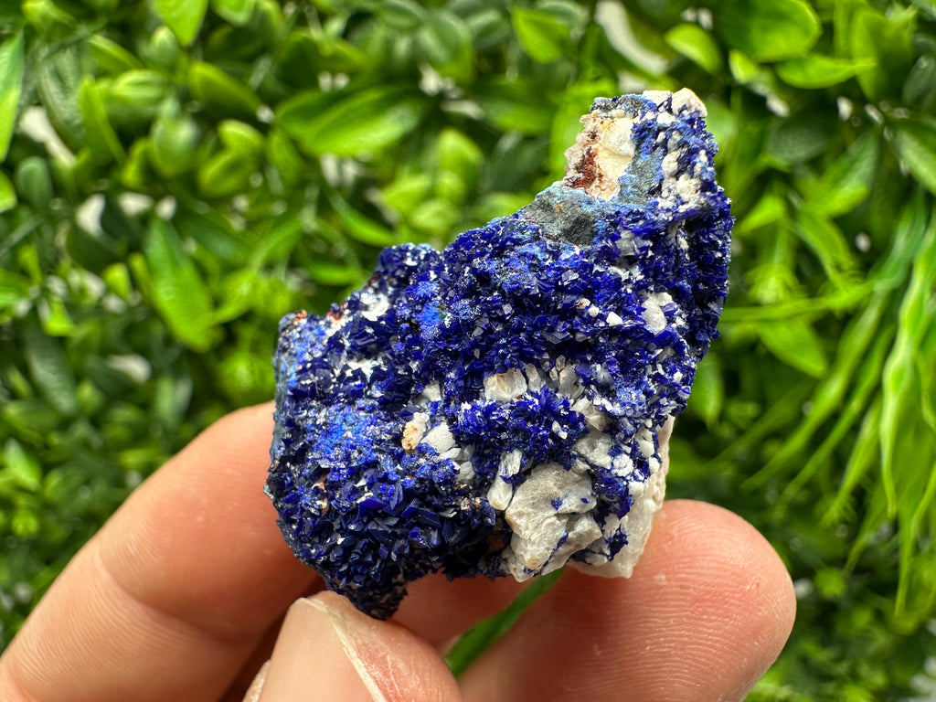 Crystallized Azurite-Kerrouchen,Morocco-Blue Azurite Specimen-High Quality Blue Azurite-Azurite Mineral Specimen, gemmy,lustrous of Azurite