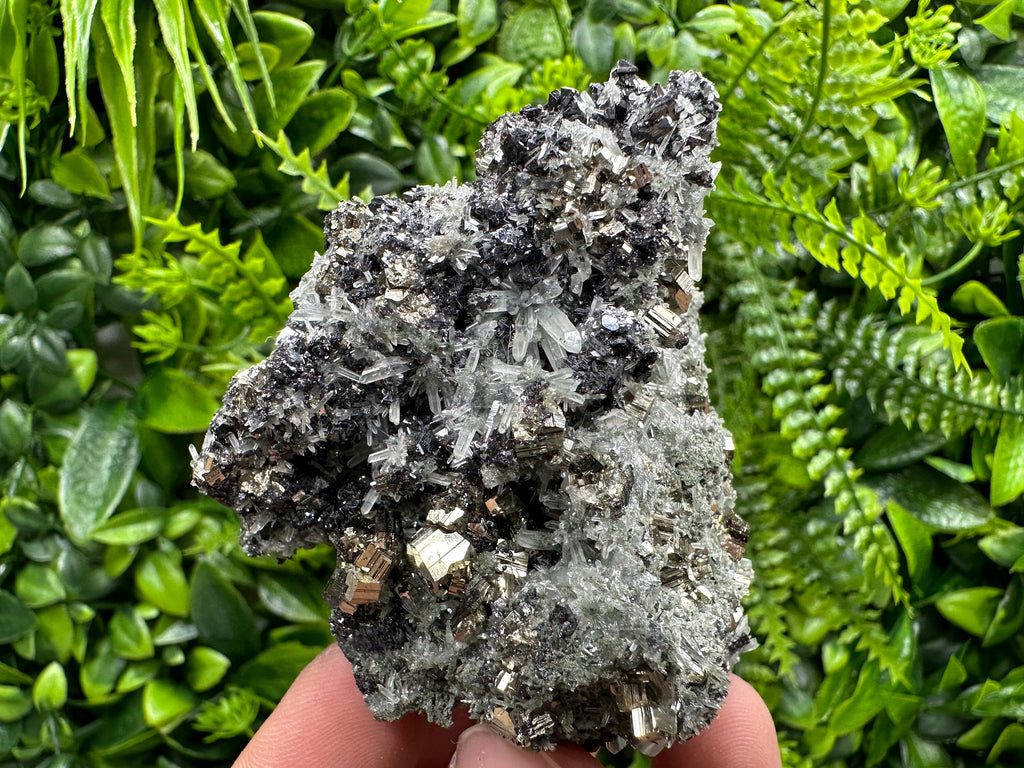 Pyrite on Quartz with Chlorite, Natural Crystal Decor, Borieva Bulgaria