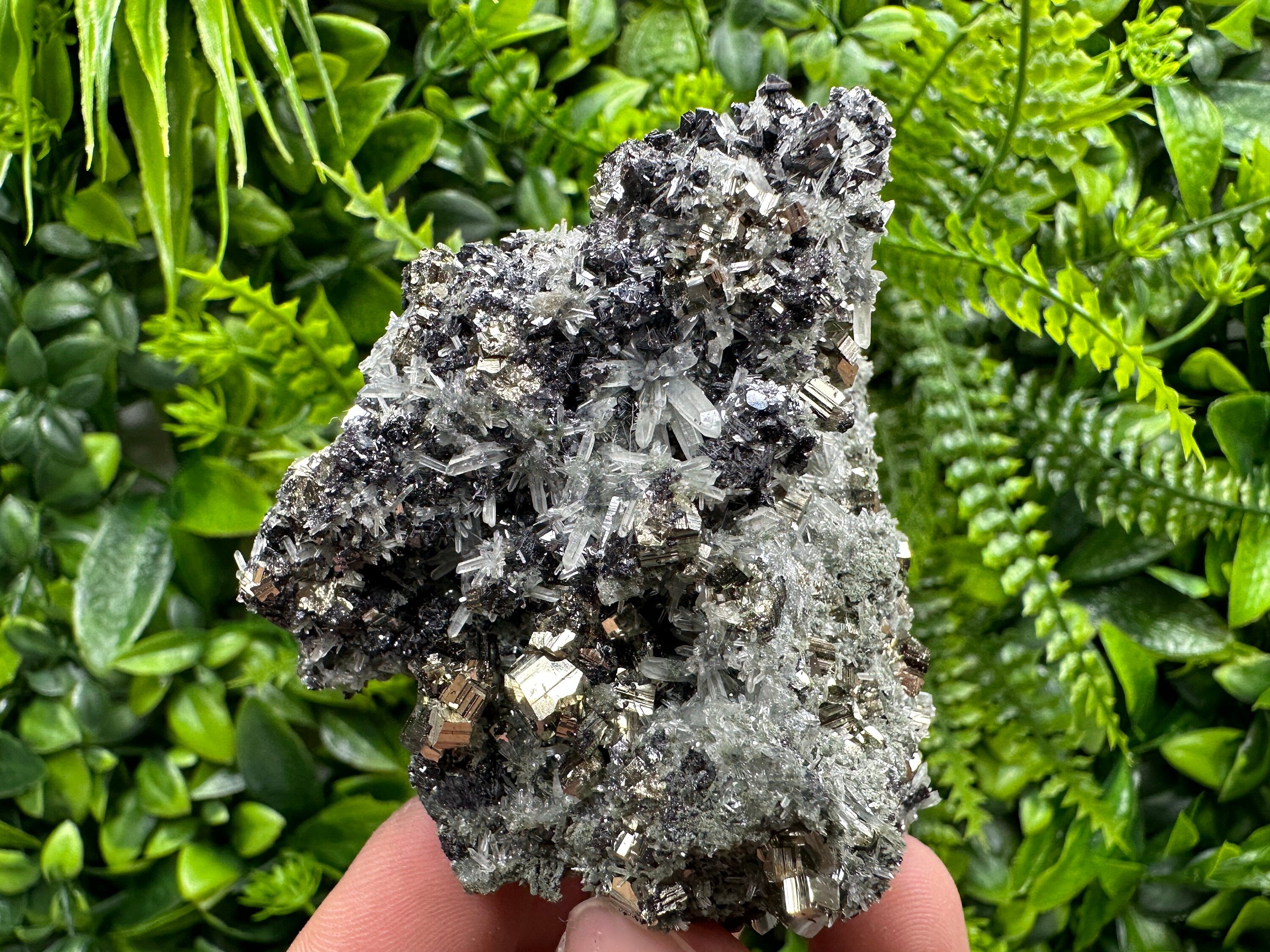 Pyrite on Quartz with Chlorite, Natural Crystal Decor, Borieva Bulgaria
