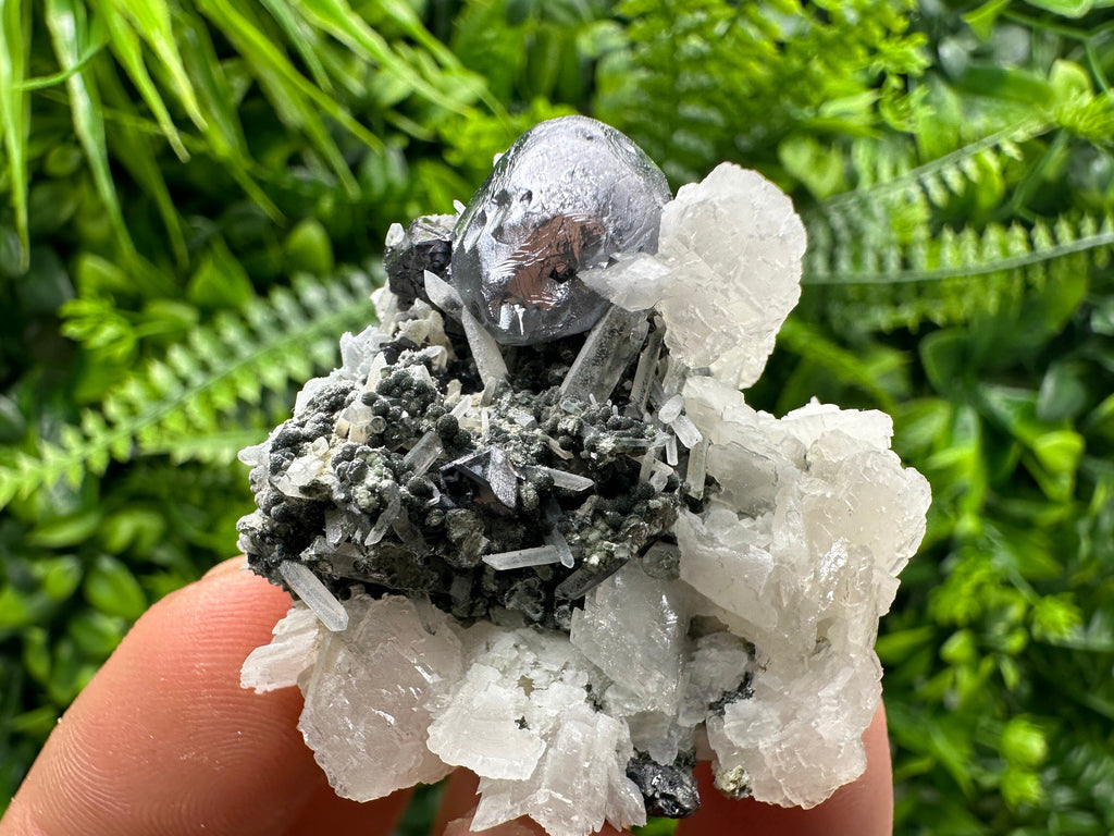 Mirror Galena, Calcite, Sphalerite on Quartz with Chlorite, Bulgaria