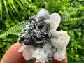 Mirror Galena, Calcite, Sphalerite on Quartz with Chlorite, Bulgaria