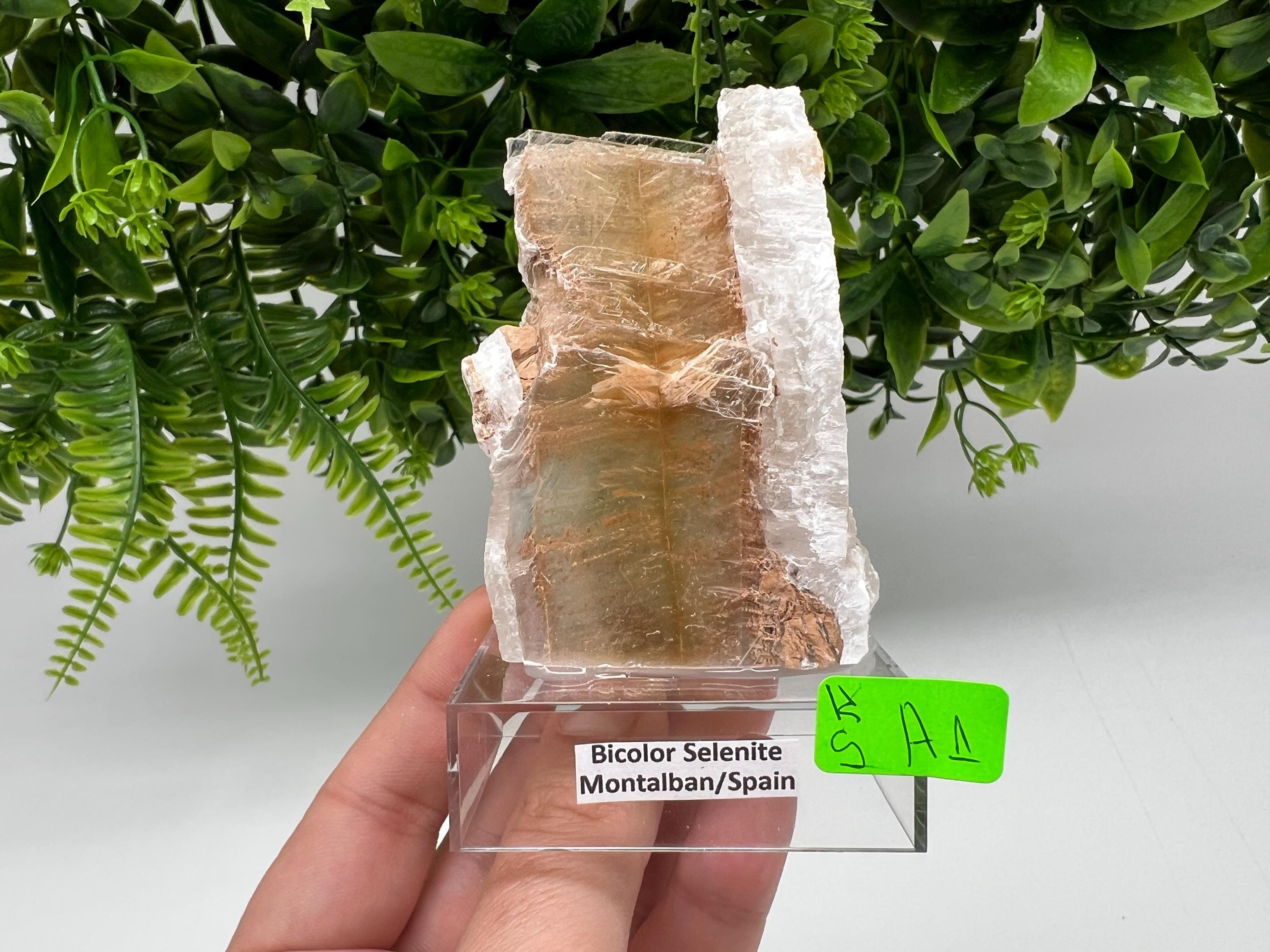 Golden Phantom Selenite Slab: Utah Raw Crystal Wand (5.5/8cm)