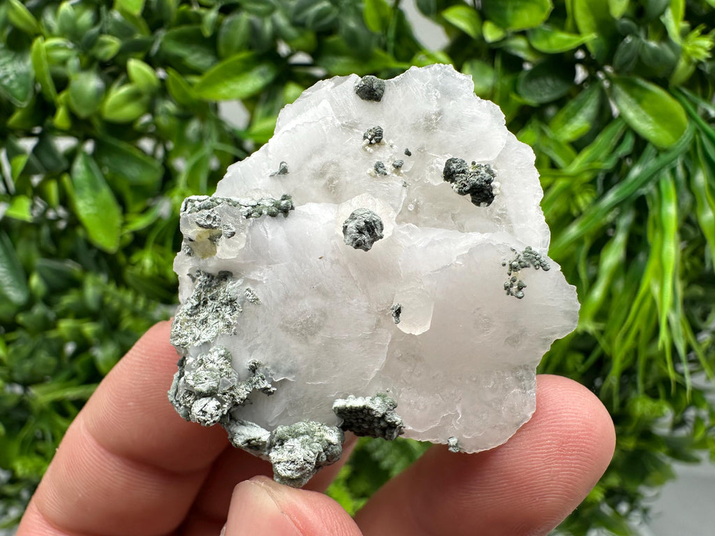 UV Mangano Calcite: Borieva Mine, Bulgaria Crystal Decor