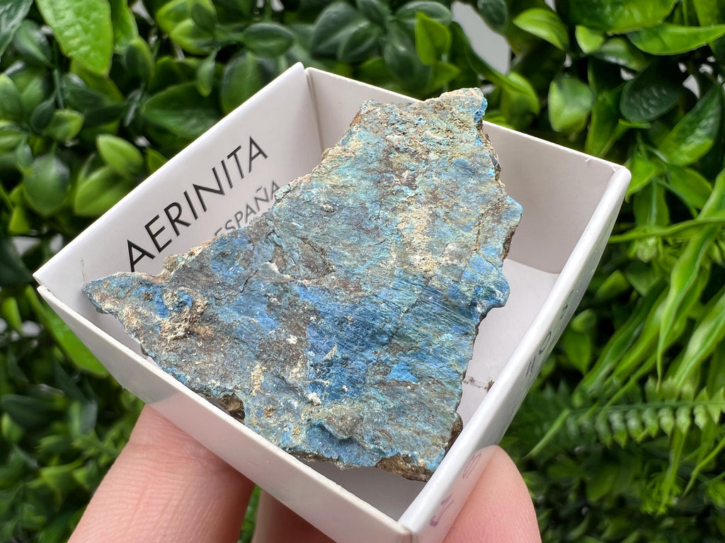 Rare Raw Aerinite Mineral Specimen: Lleida Spain Crystal Collection