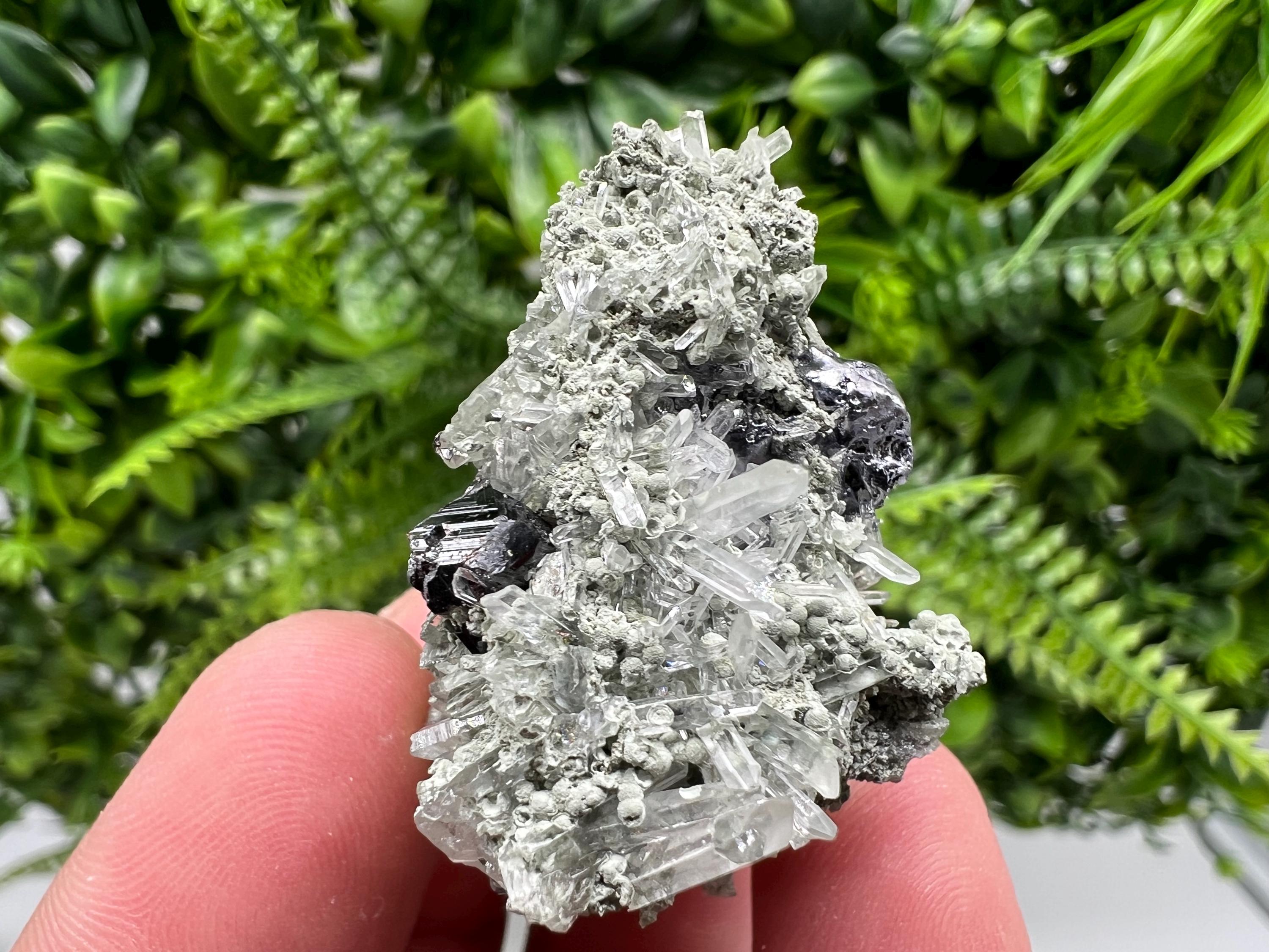 Sphalerite with Chlorite Crystal, Borieva Mine, Bulgaria