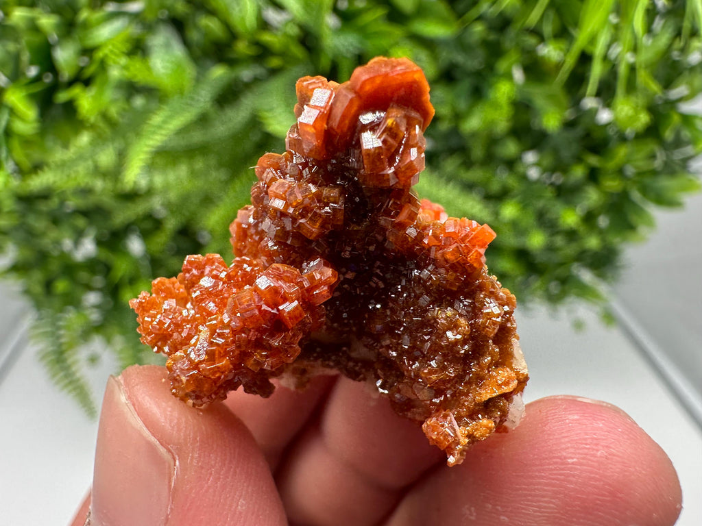 Red Vanadinite on Barite from Marocco,crystal minerals Speciment cluster Vanadinite crystal Vanadinite Geology Vanadinite cluster minerals