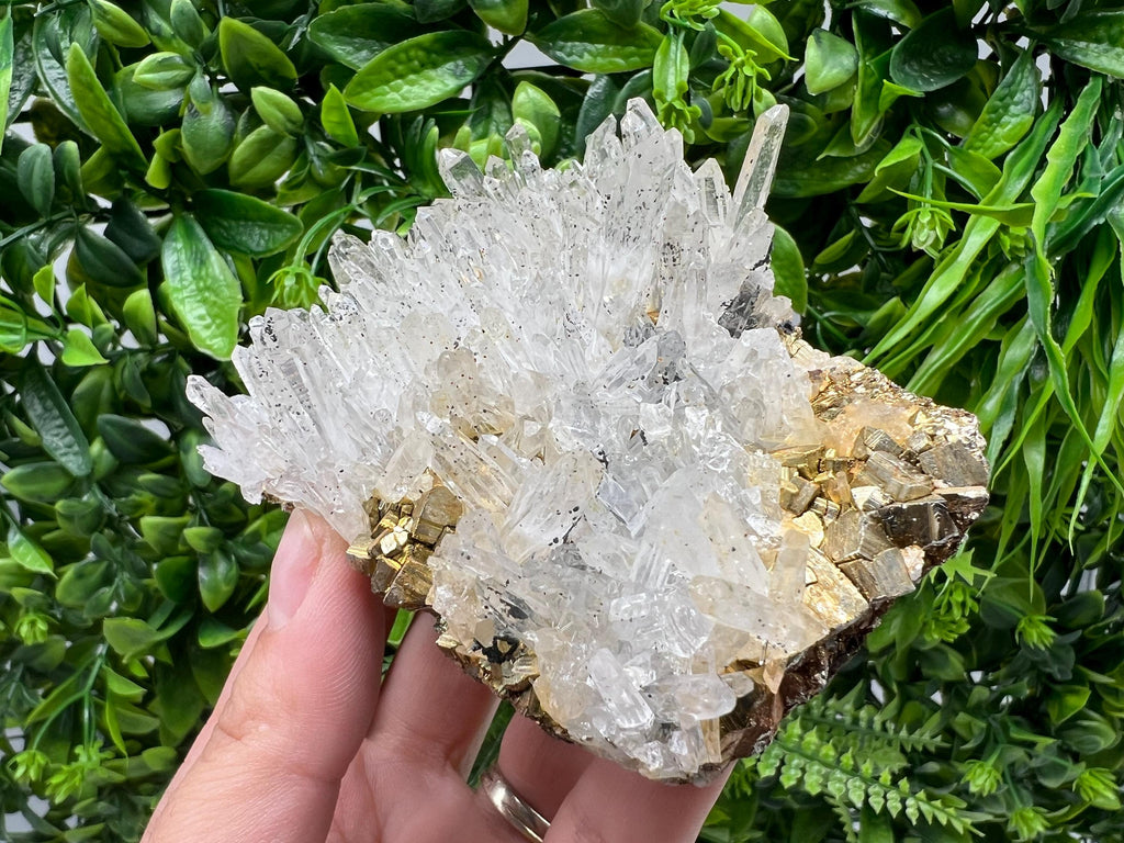 Stunning Transparent Quartz,from Borieva mine,natural collection mineral specimen rare crystal,home decor crystal,quartz cluster,Quartz,gift
