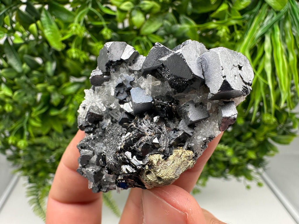 Aesthetic Natural shiny Galena whit Siderite and Quartz from 9 th September mine,Bulgaria,collection specimen,rare galena,Galena cluster