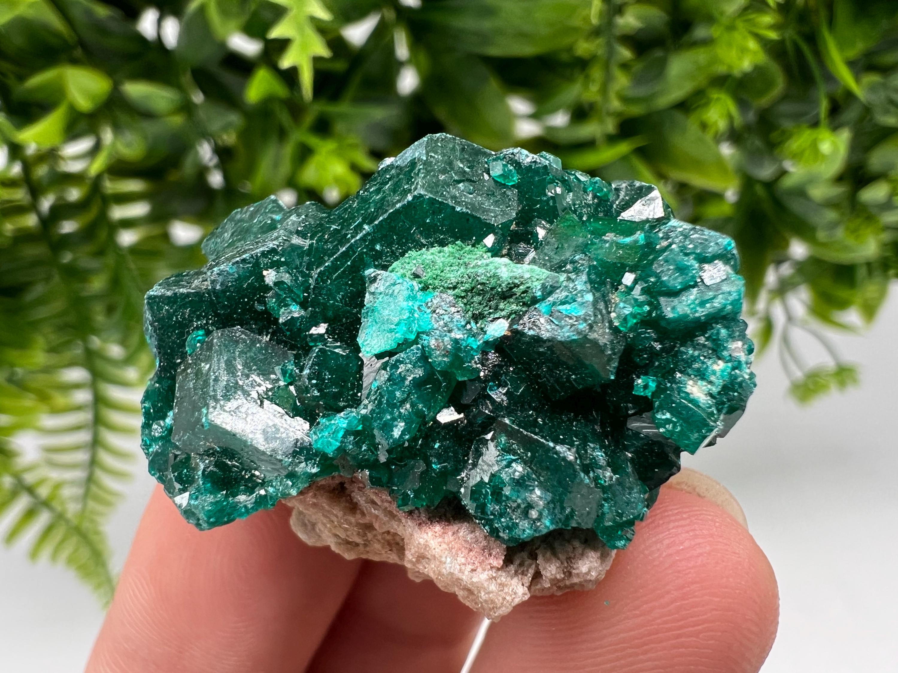 Green Dioptase Crystal Cluster, Sanda Hills Congo