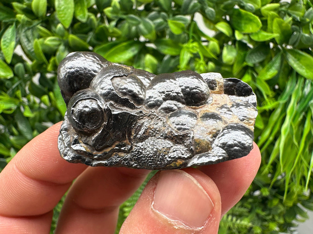Botryoidal Black Hematite Specimen: Moroccan Crystal for Reiki Chakra
