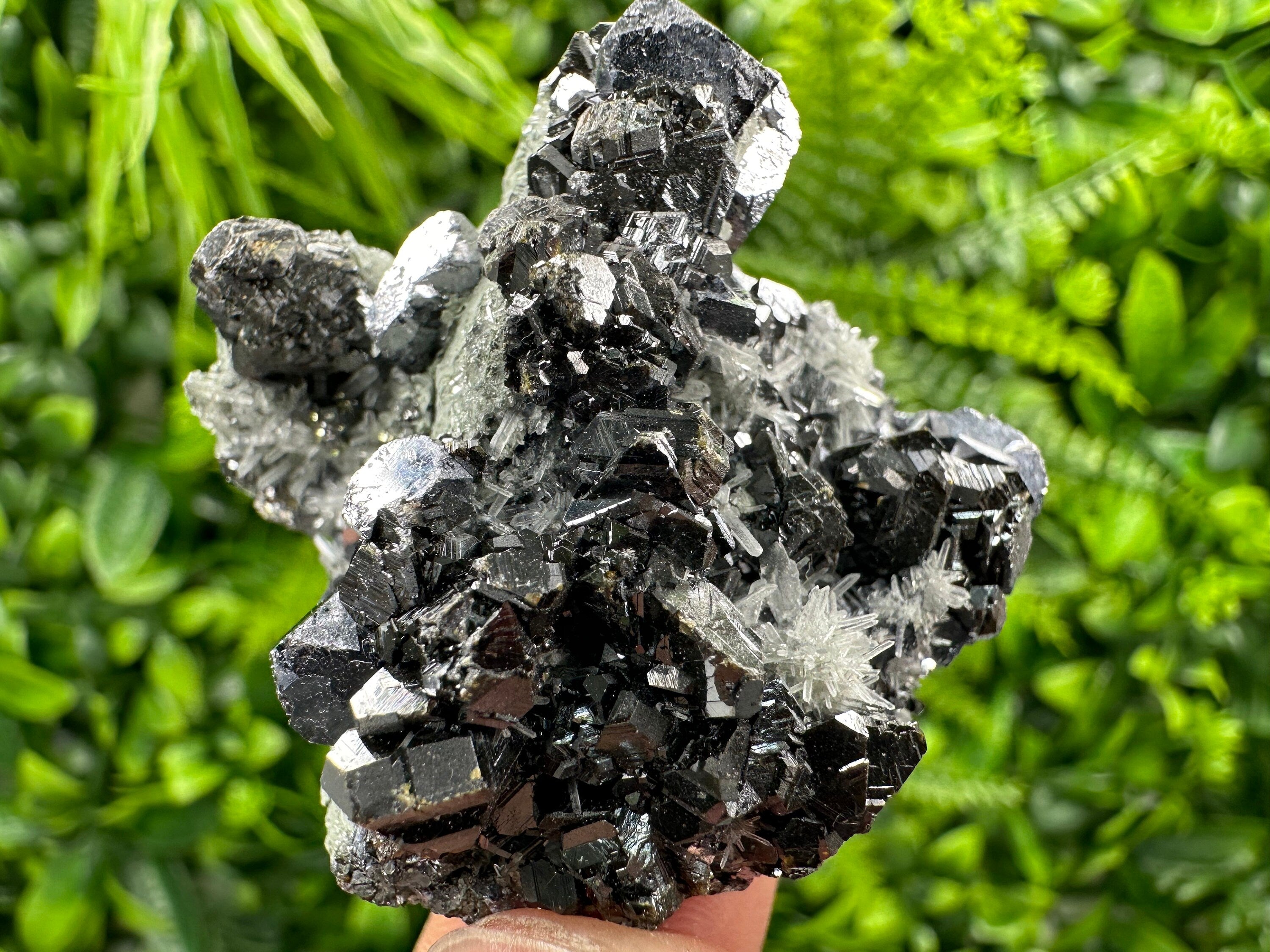 Galena Sphalerite on Needle Quartz: Borieva Mine Crystal, Bulgaria