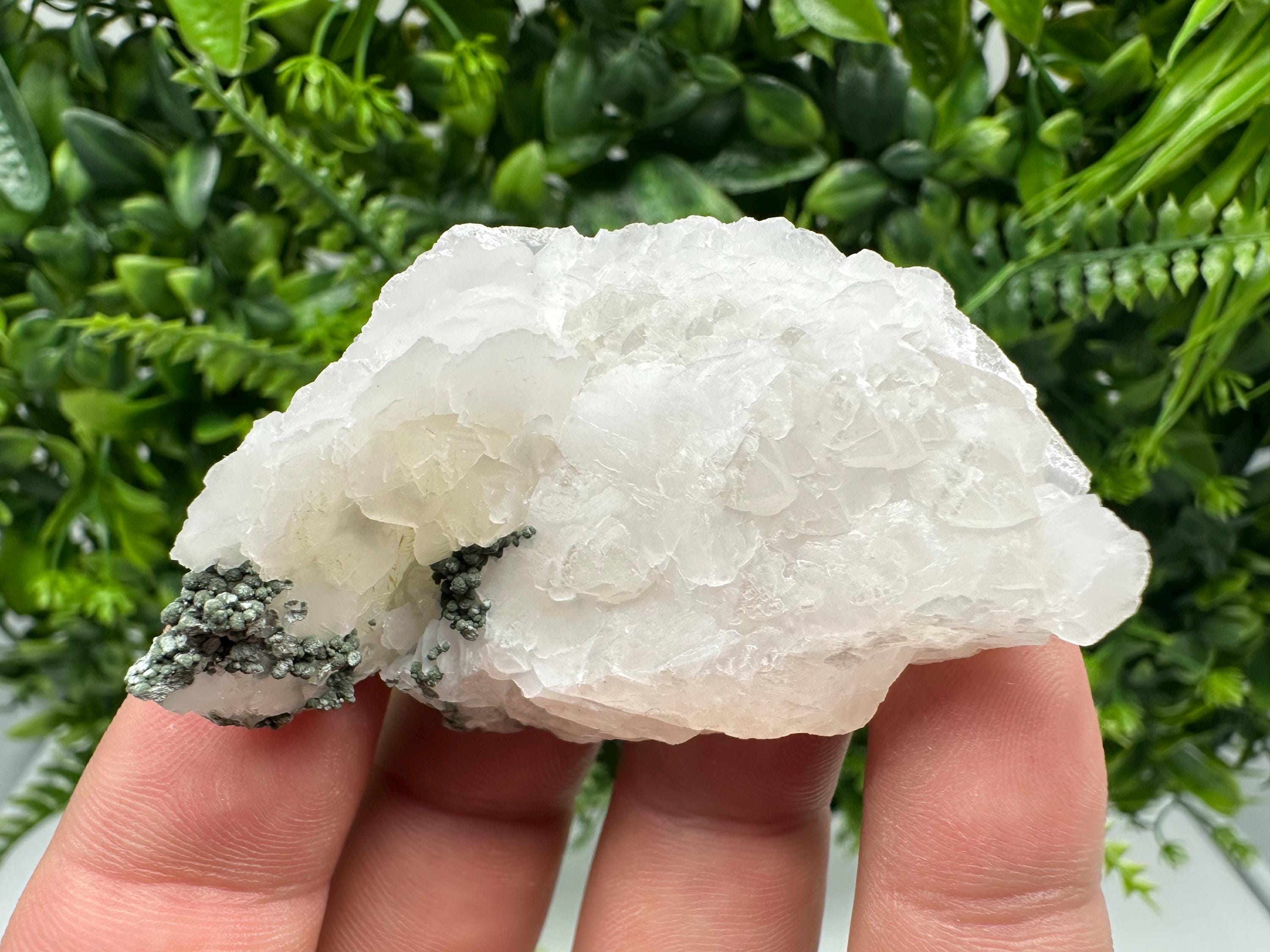 Calcite on Green Quartz: Djurcovo Mine, Bulgaria Crystal