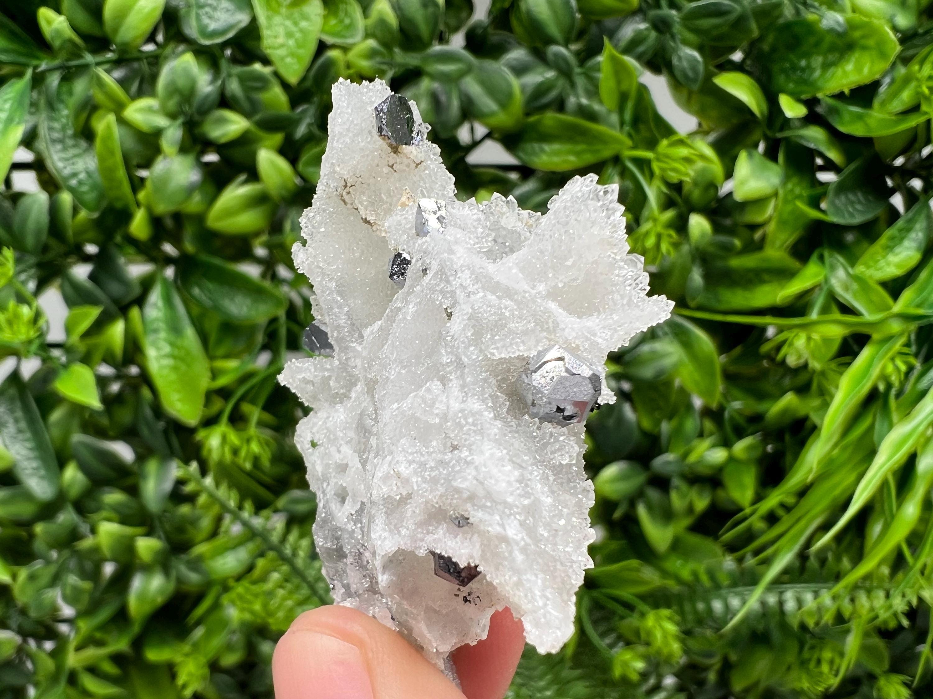 Galena on Chalcedony Specimen: Krushev Dol Mine, Bulgaria