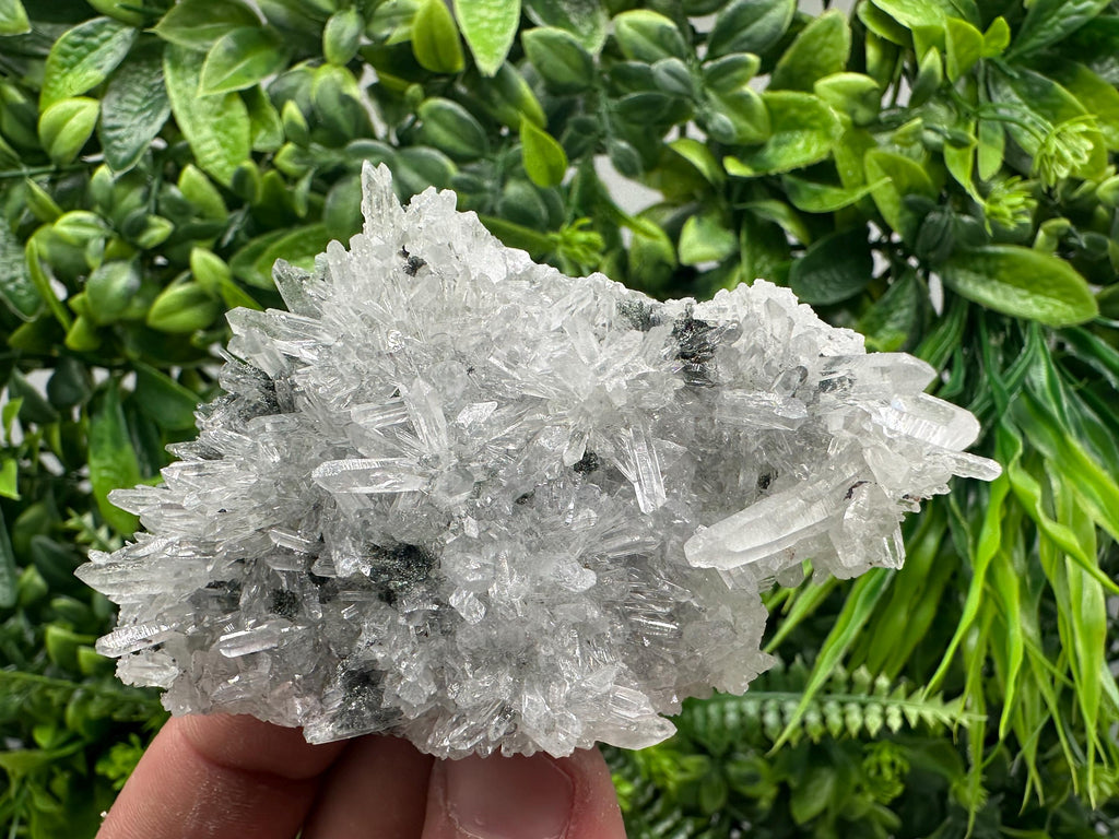 Transparent Quartz on Chlorite Matrix, Borieva Mine, Bulgaria