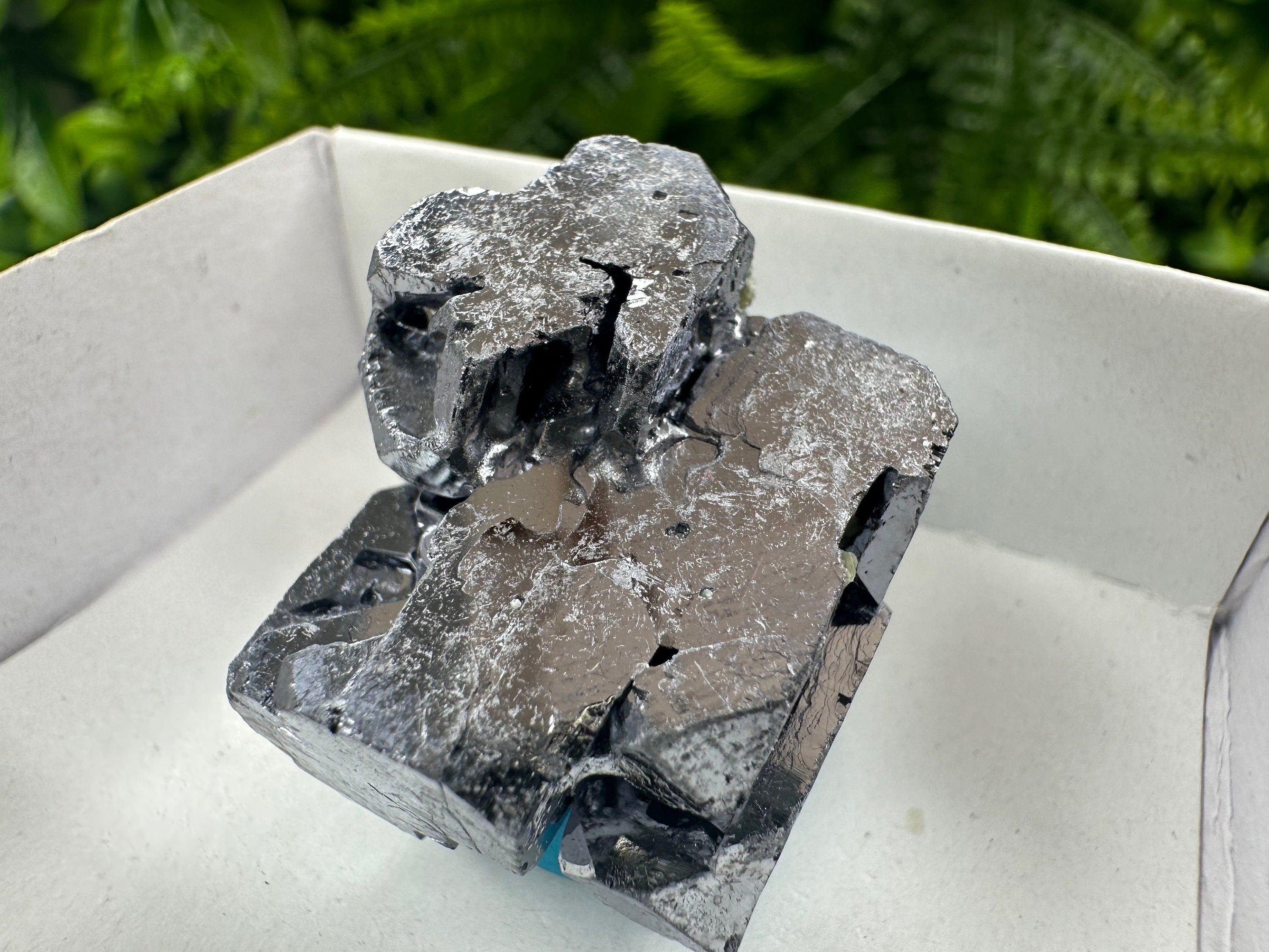 Shiny Galena Cluster: Borieva Mine, Madan, Bulgaria