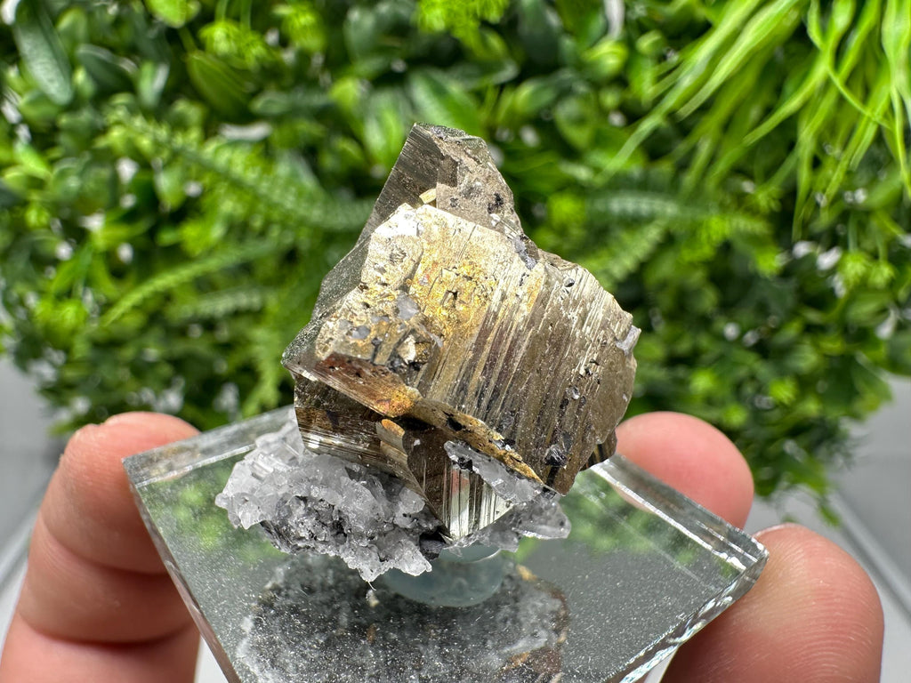 Rainbow Pyrite Hematite Cluster: Borieva Mine, Bulgaria