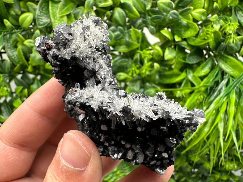 Galena, Quartz, Calcite on Chlorite, Borieva Mine Mineral Specimen