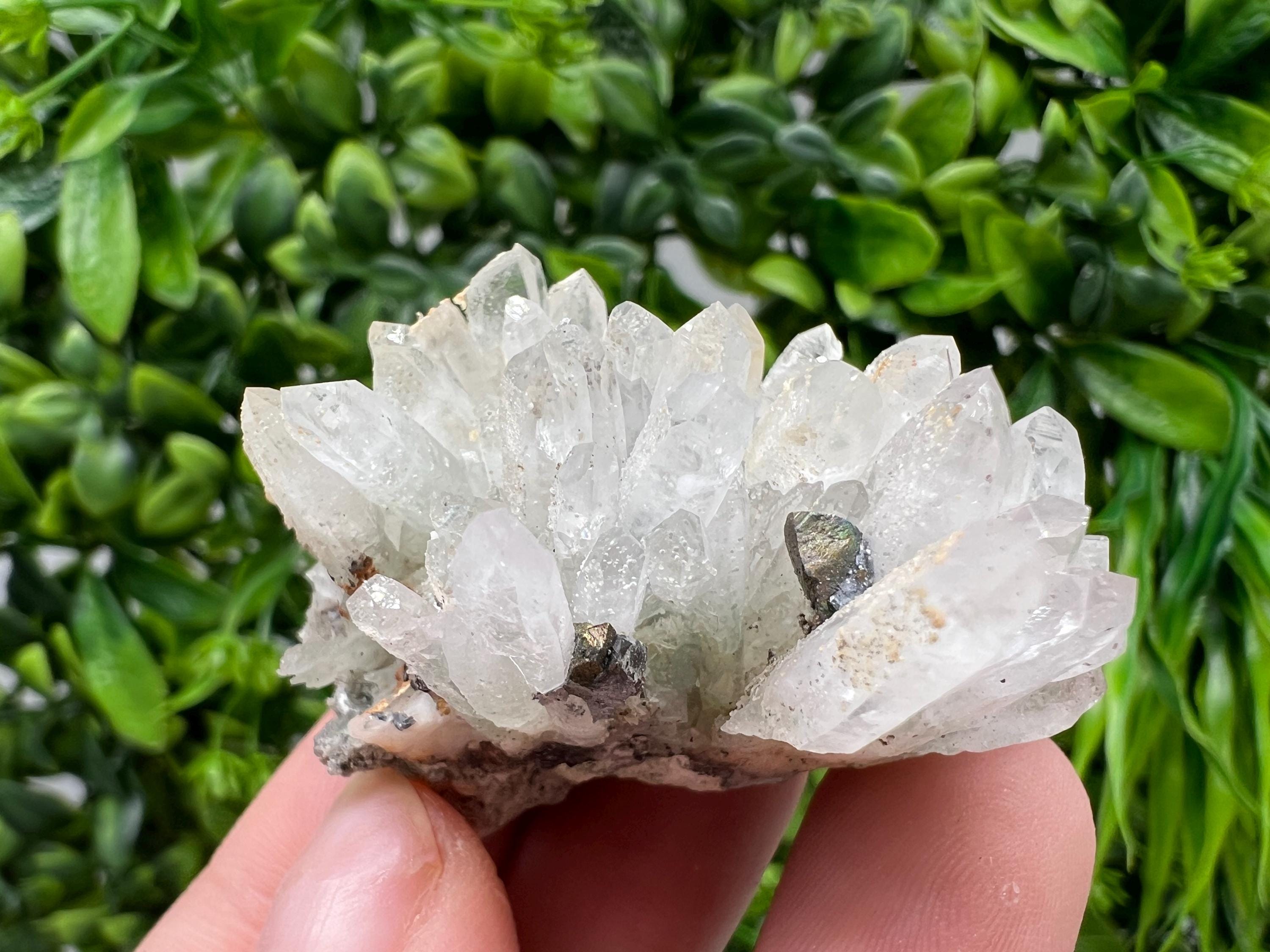 Transparent Quartz,Chlorite,Chalcopyrite Matrix,From Borieva mine,Madan,Bulgaria,Quartz,Quartz crystal,mineral specimen,collection quartz