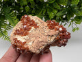 Red Vanadinite on Barite from Marocco,crystal minerals Speciment cluster Vanadinite crystal Vanadinite Geology Vanadinite cluster minerals