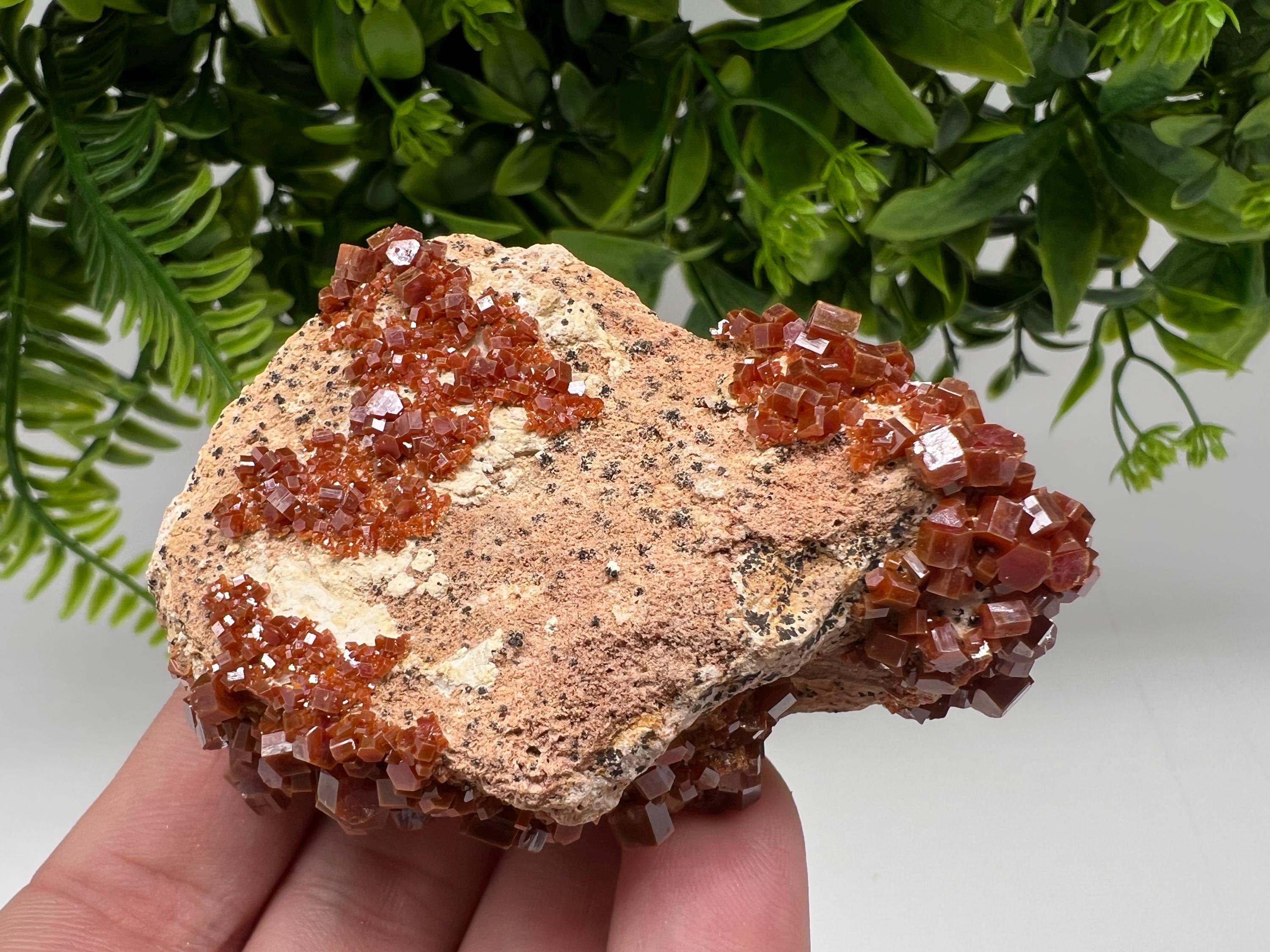 Red Vanadinite on Barite from Marocco,crystal minerals Speciment cluster Vanadinite crystal Vanadinite Geology Vanadinite cluster minerals