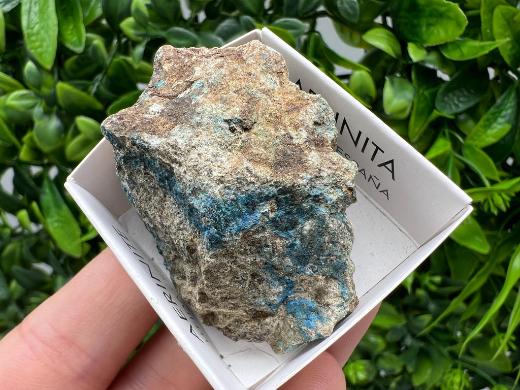 Rare Raw Aerinite Mineral Specimen: Collection Crystal from Lleida, Spain (5/3.5 CM)