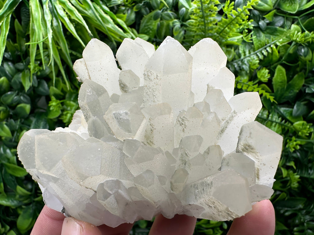 Chlorite Quartz Crystal Cluster: Borieva Mine, Bulgaria