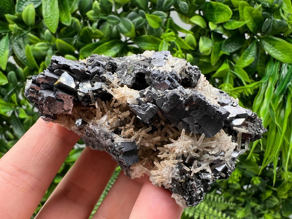 Galena Cluster with Siderite and Quartz, 9th September Mine, Bulgaria