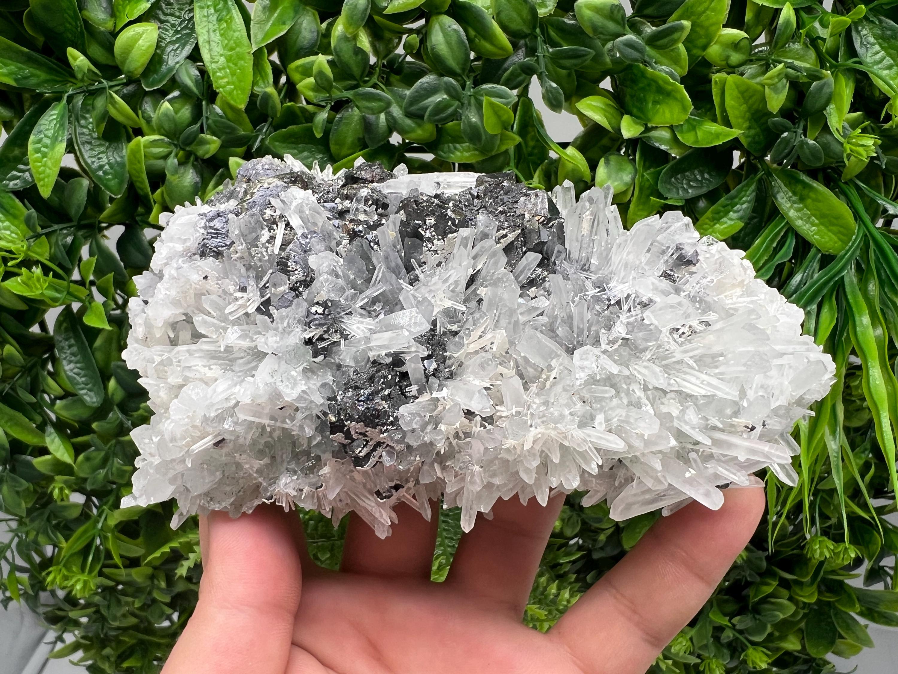 Sphalerite Galena Pyrite on Quartz: Borieva Mine Mineral Cluster