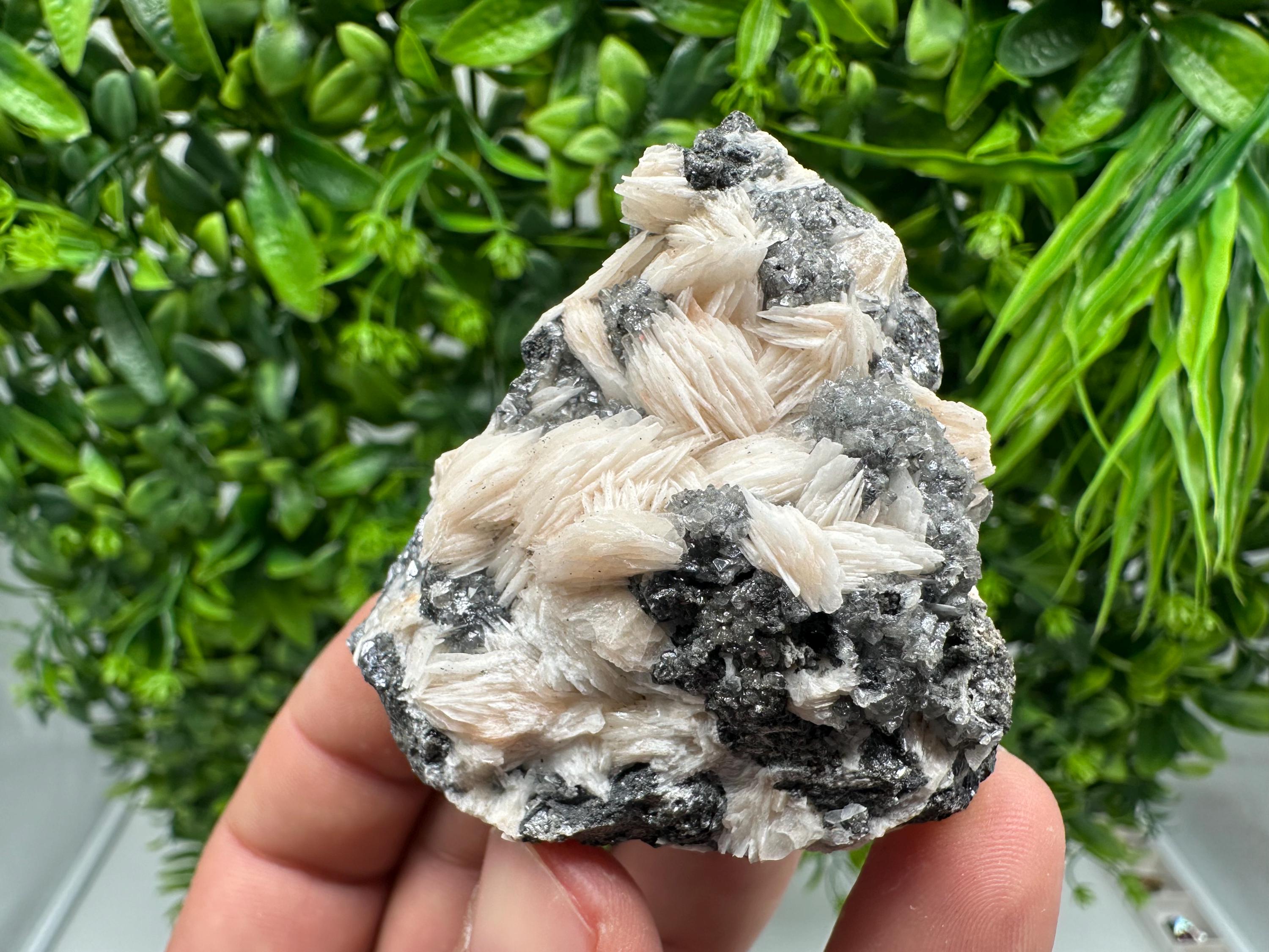 Wonderful Baryte with Cerussite on Galena from Morocco,Crystal, Mineral,Specimen,Cluster,Crystals,Barite Crystal,Cerussite Crystal,Specimen