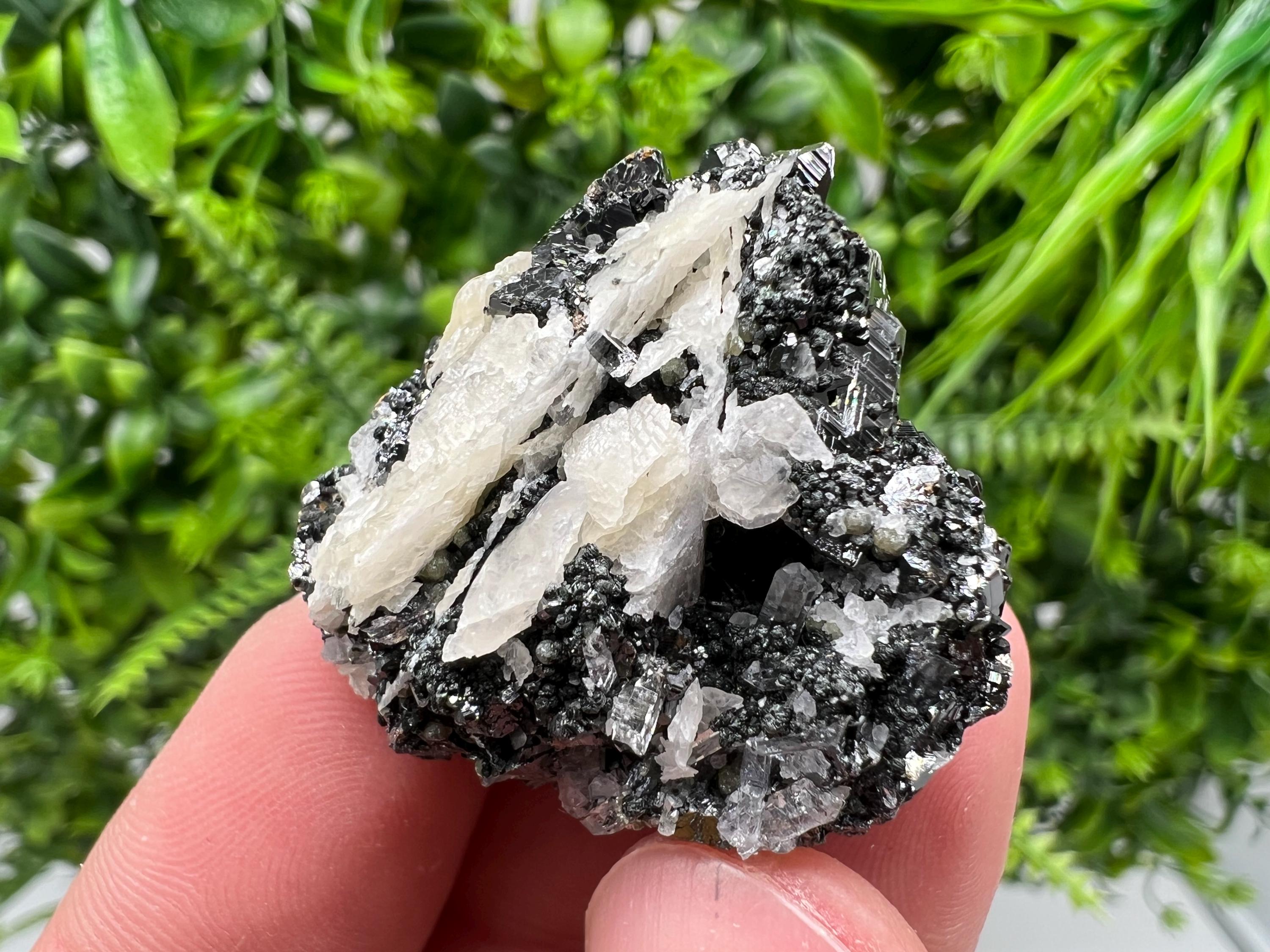 Aesthetic bigger Sphalerite whit Chlorite from Borieva mine Madan Bulgaria natural minerals souvenir crystal gift home decor stone rock