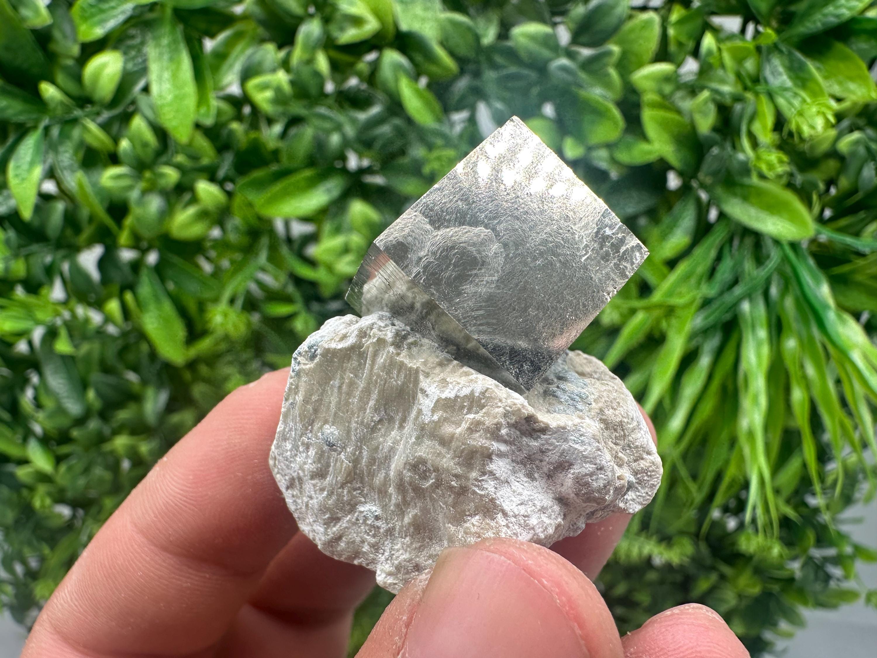 Large Pyrite cubes on Matrix,Gold,Cube PYRITE, Navajun, La Rioja,SPAIN,natural Pyrite shiny Pyrite home decor stone gift minerals,collectibl