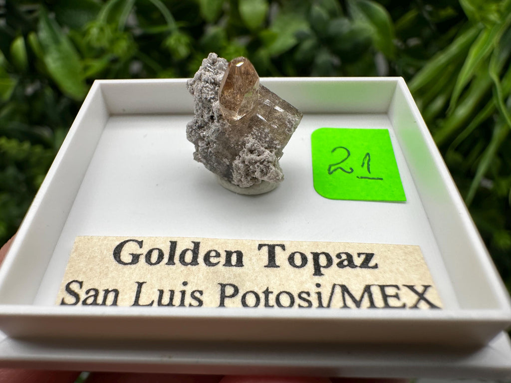 Golden Topaz Crystal, Mineral Specimen from Mexico