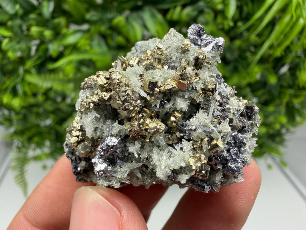 Pyrite on Green Quartz Mineral Specimen, Borieva Mine, Bulgaria