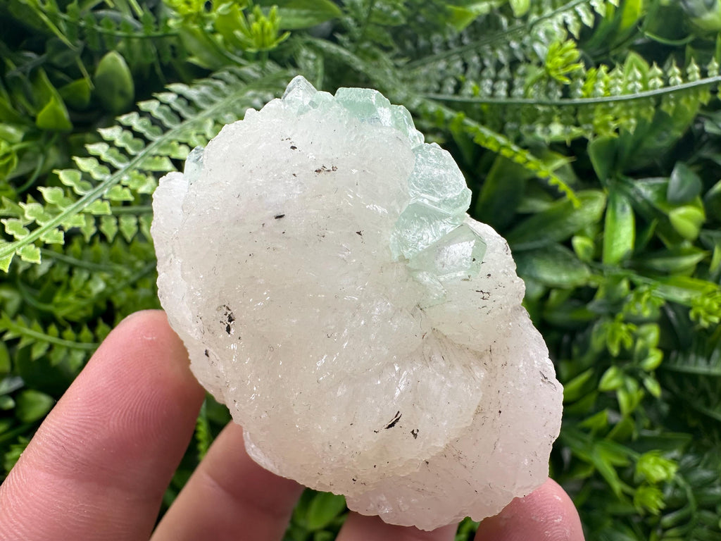 Green Apophyllite with Stilbite, India Crystal Specimen