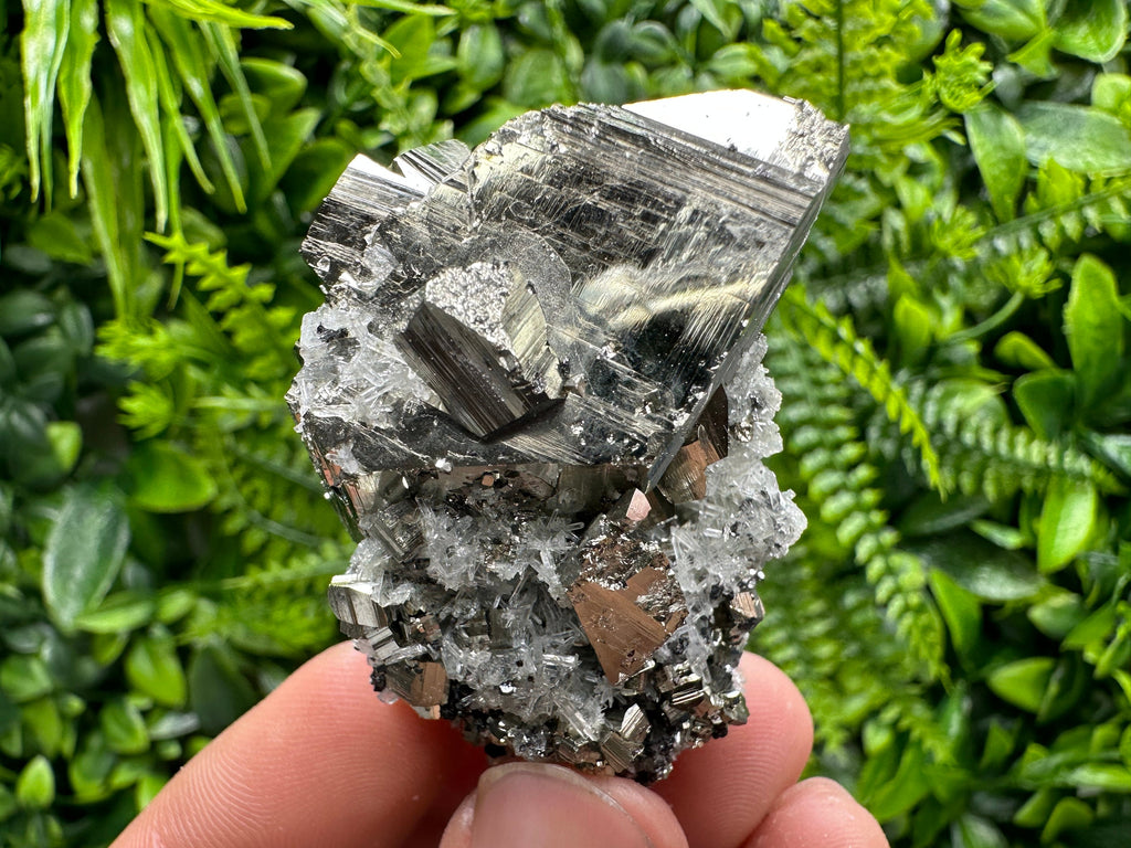 Pyrite on Needle Quartz: Chlorite Inclusions, Borieva Mine, Bulgaria