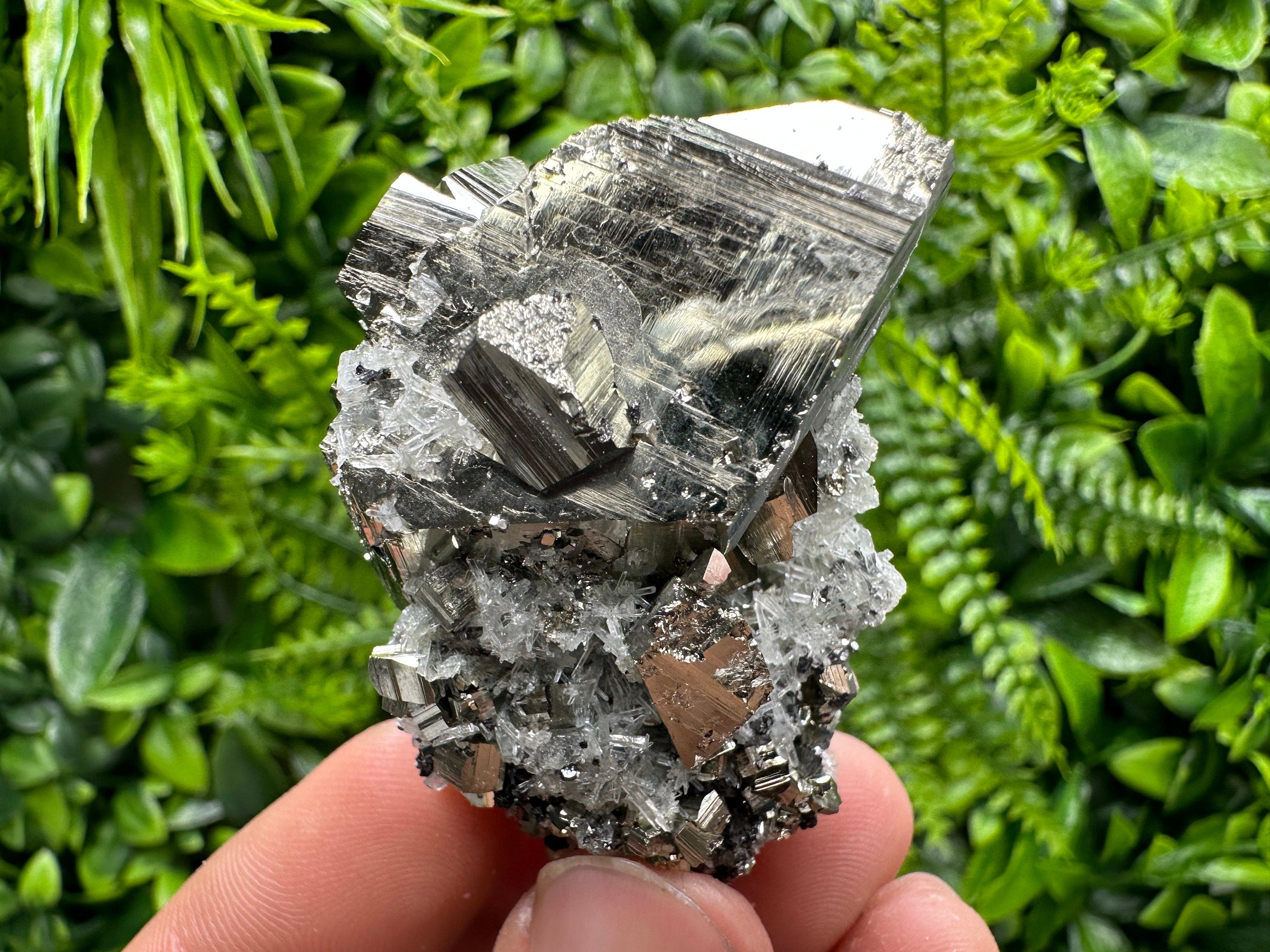 Pyrite on Needle Quartz: Chlorite Inclusions, Borieva Mine, Bulgaria