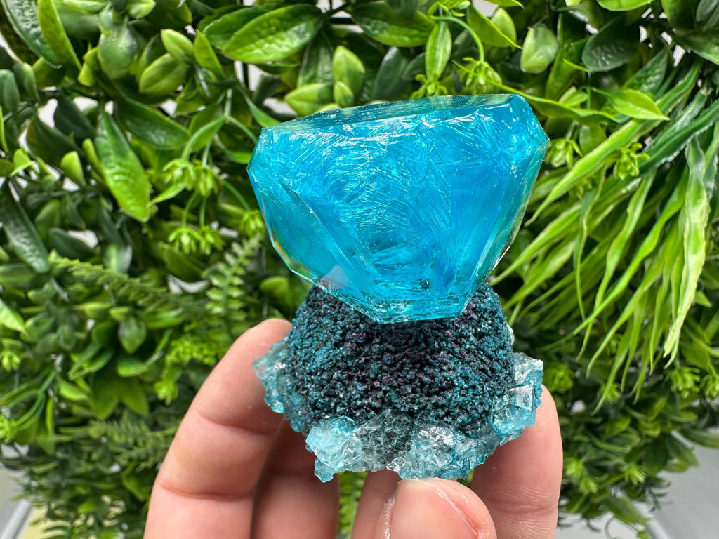 Exceptional Turquoise ALUNITE Aqua Crystal on Matrix UV Active, lab minerals