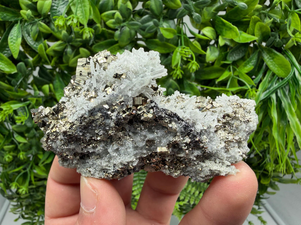 Pyrite Sphalerite Quartz  Mineral Specimen, Krushev dol Mine
