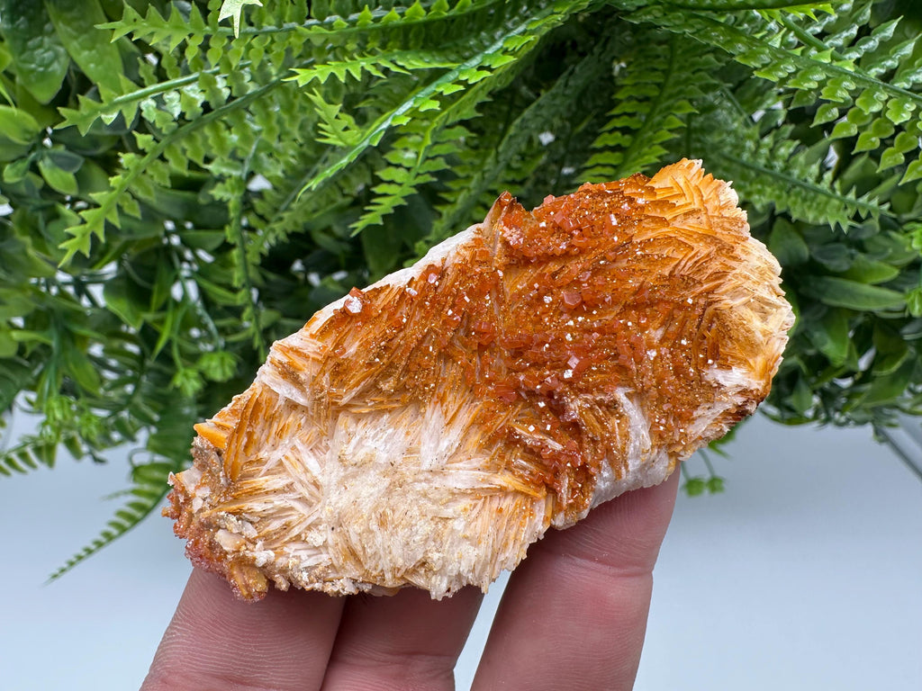 Red Vanadinite on Barite, Morocco Crystal Cluster