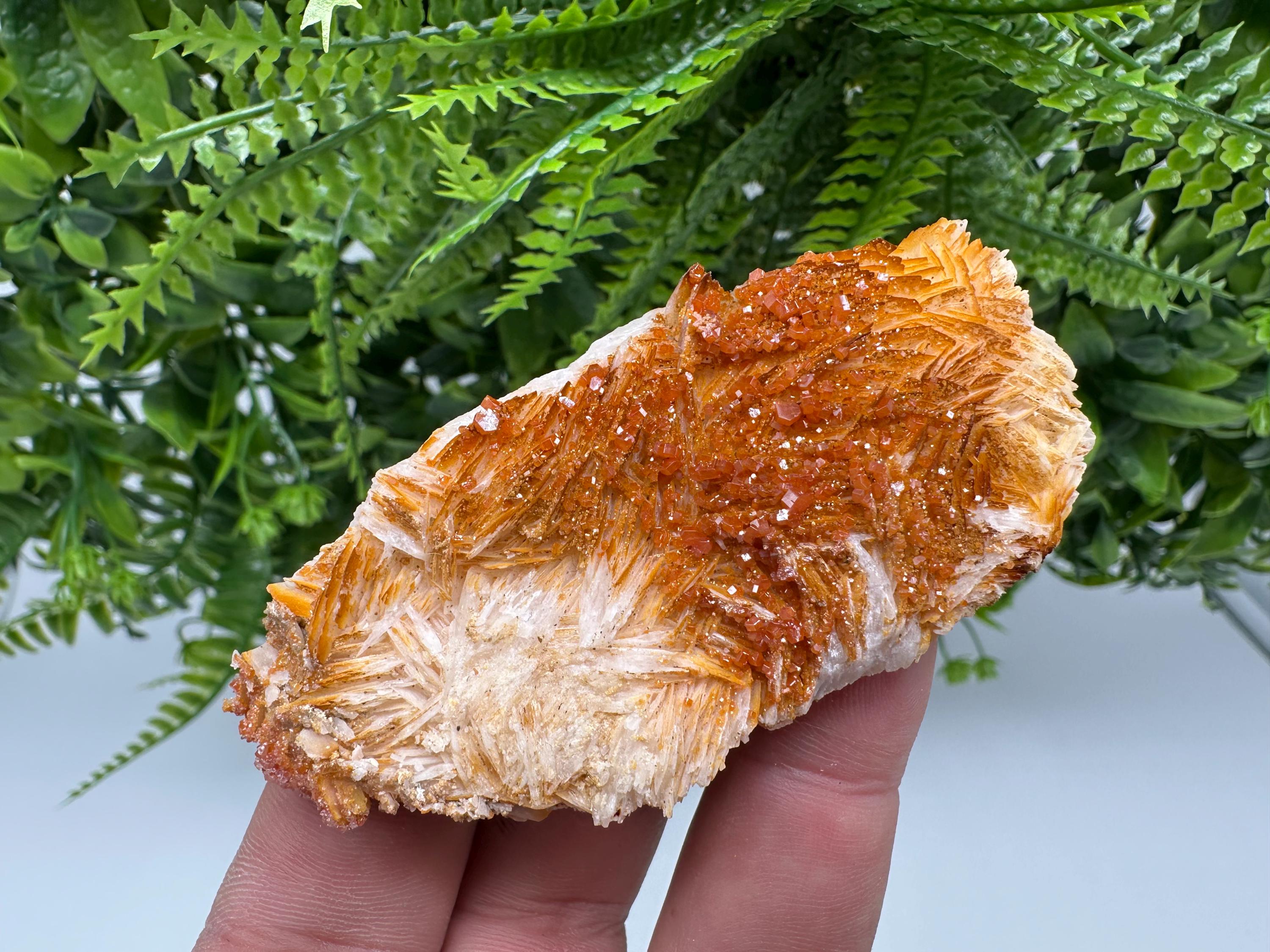 Red Vanadinite on Barite, Morocco Crystal Cluster