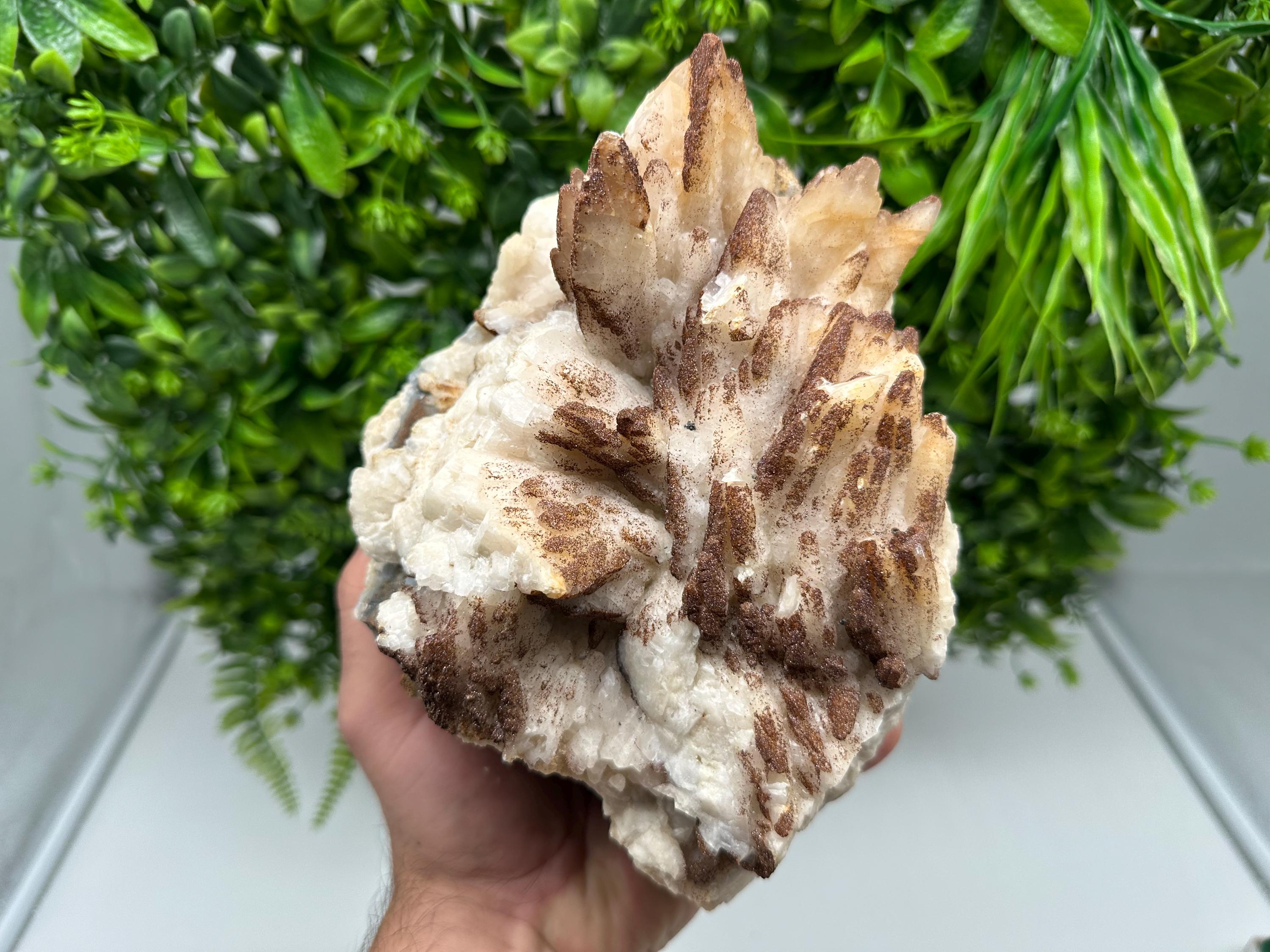 Stunning Brown Rhodochrosite on Calcite,Chalcedony,from Djurcovo mine,Bulgaria,natural collection mineral specimen,home decor crystal,gift